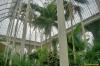 Palm House (Botannical Gardens) interior 2