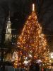 Boston Christmas Tree