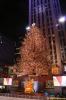 Rockefella Plaza Christmas Tree