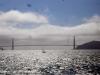 Golden Gate Bridge from ferry 1
